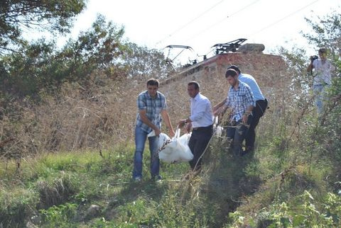 Eşini öldürüp tren raylarına attı