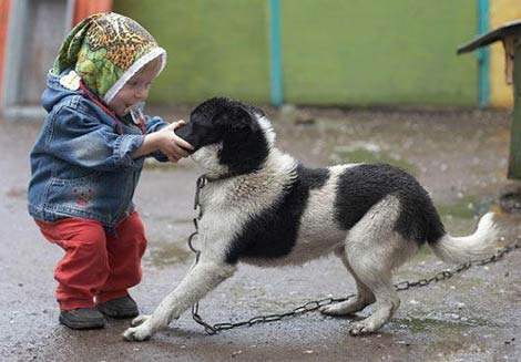 Seçilmiş en iyi kareler