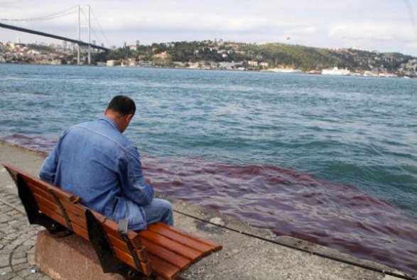 Boğaz yine kan gölüne döndü