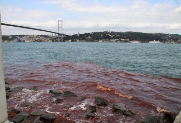 Boğaz yine kan gölüne döndü