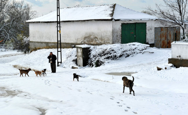 Edirne kışa merhaba dedi