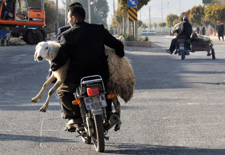 Kurban manzaraları