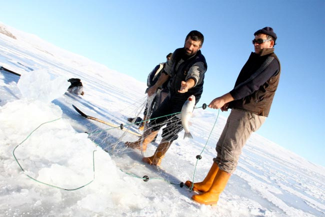 Ardahan'da eskimo usulü balık avı