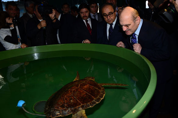 Erdoğan Bayraktar kaplumbağaları unutmadı