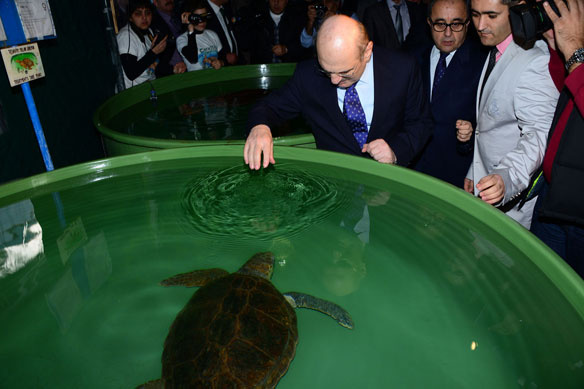 Erdoğan Bayraktar kaplumbağaları unutmadı