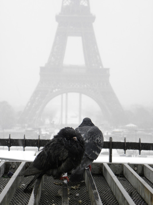 Büyüleyici kar manzarasıyla Paris