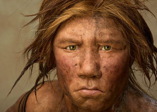 Neandertal dünyanın yok olan insan ırkı