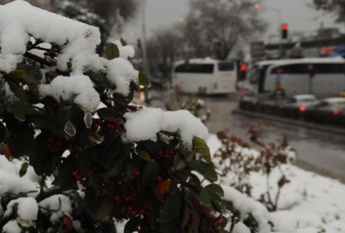 Lapa lapa kar yağdı herkes şaştı kaldı