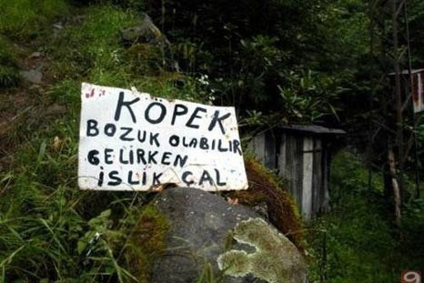 2008'in en geyik kareleri