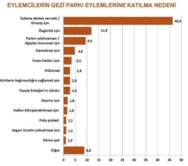 Gezi'deki anketten çıkan şok sonuç