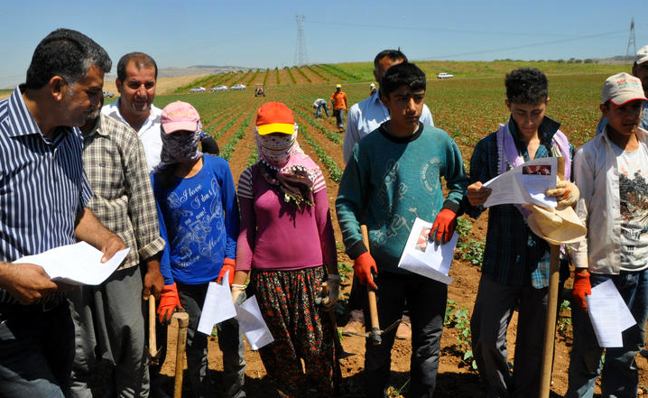 Tarlada karne dağıtıldı