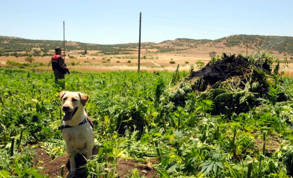 Diyarbakır'da 6 köye dev operasyon