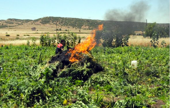 Diyarbakır'da 6 köye dev operasyon