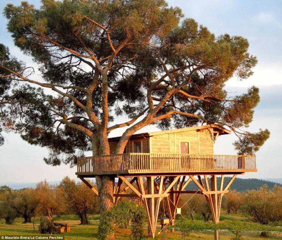 Tree house is