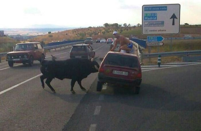 Tuvalete gitmeye üşenenlerin barı böyle olur