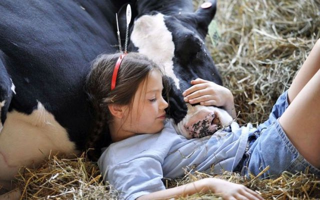 Tuvalete gitmeye üşenenlerin barı böyle olur