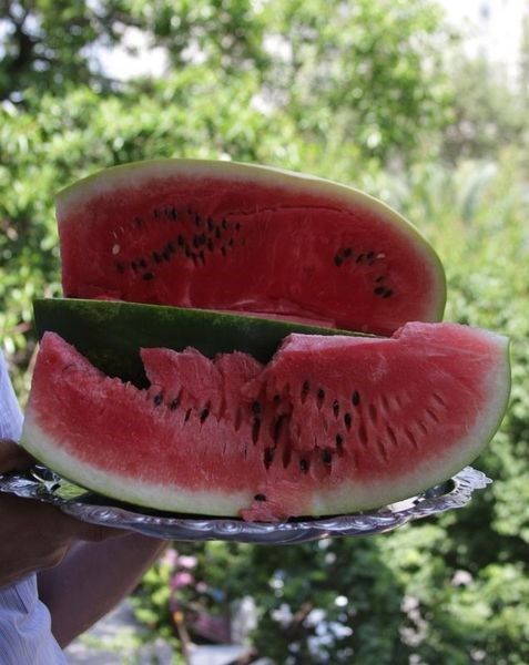 Hangi meyve hangi hastalığa iyi geliyor