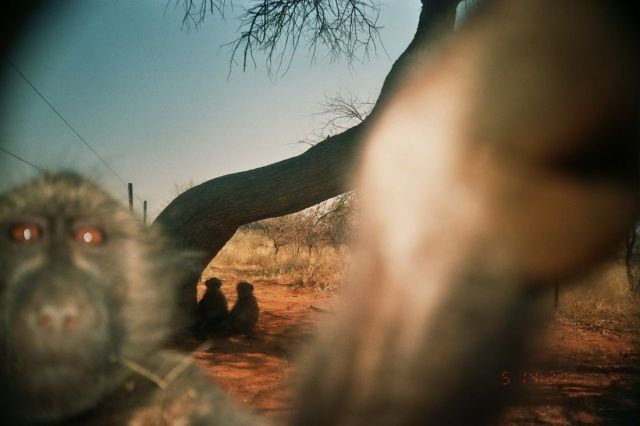 Haftanın en ilginç 30 fotoğrafı