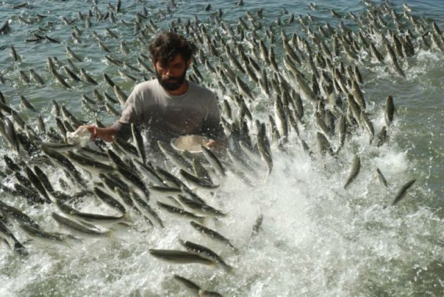 Haftanın en ilginç 30 fotoğrafı