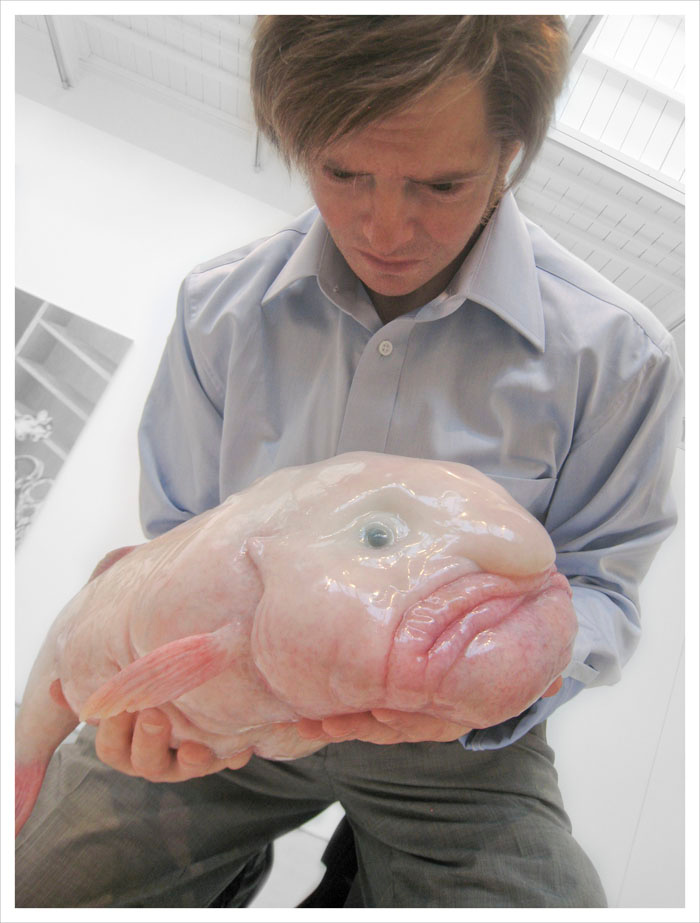Dünyanın en çirkin hayvanı blobfish