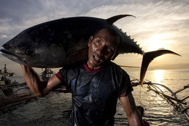 National Geographic 2013 fotoğrafları