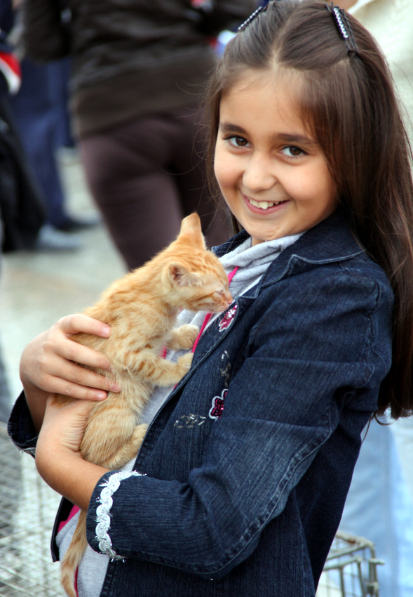 Bakırköy 'Can Dostlarını' sahiplendiriyor