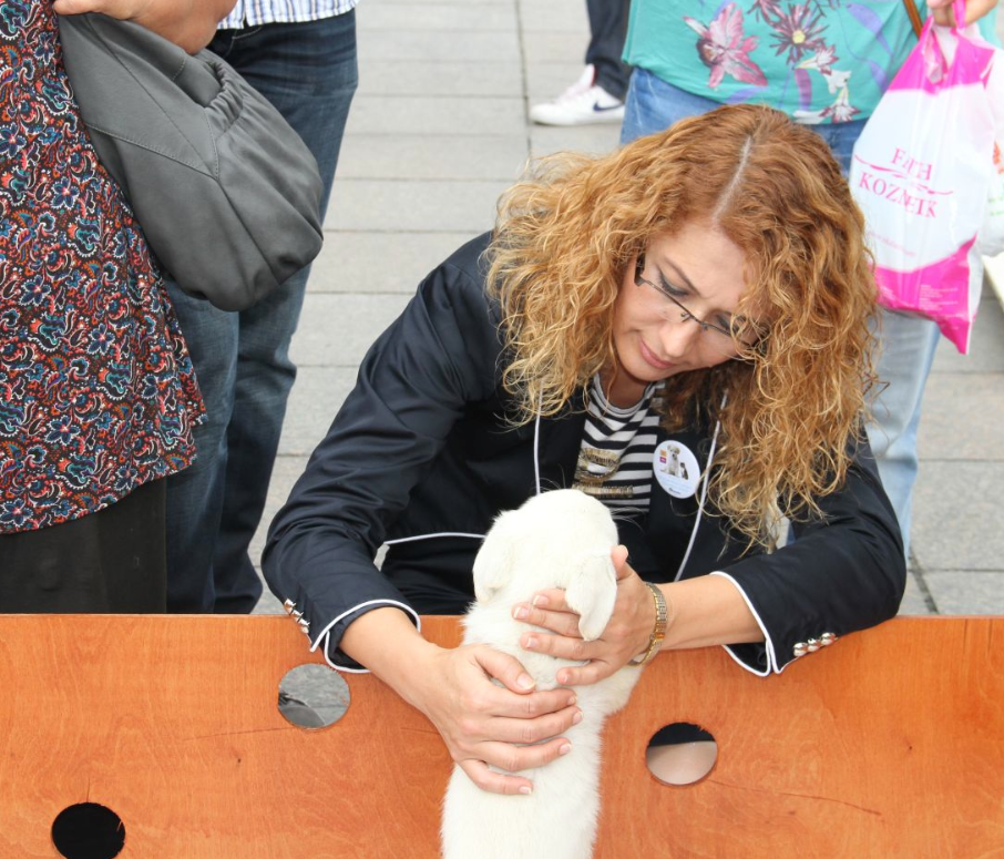 Bakırköy 'Can Dostlarını' sahiplendiriyor