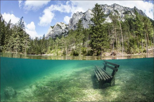 Hafta sonunun en neşeli fotoğrafları