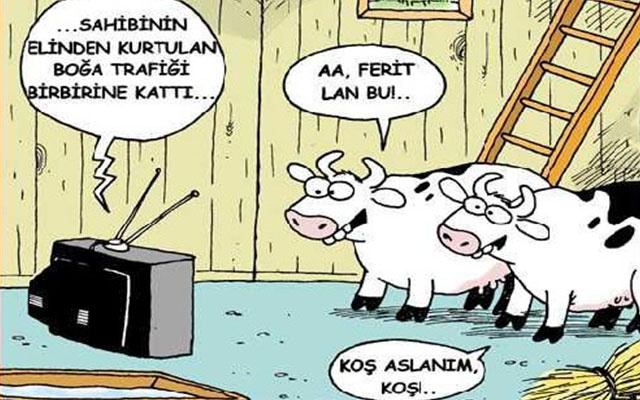 Güldüren bayramlık karikatürler