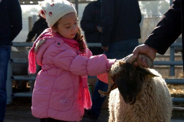 İşte Kurban Bayramı'ndan renkli görüntüler