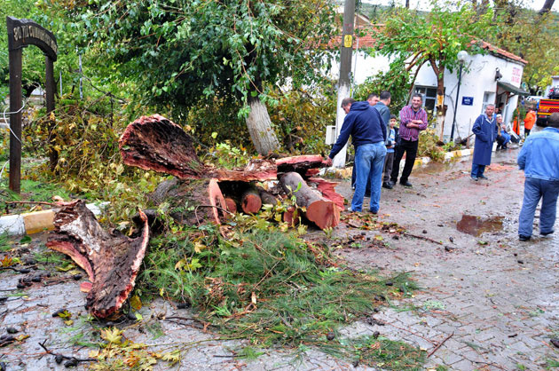 Muğla'da hortum zarara neden oldu