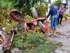 Muğla'da hortum zarara neden oldu