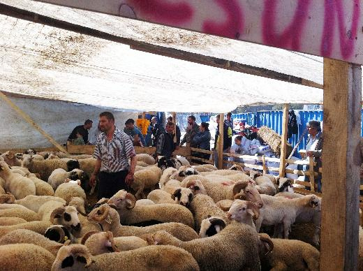 Şenlendirici ailesi Kurban pazarında