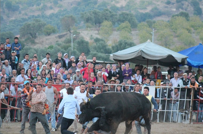 Burası İspanya değil Aydın