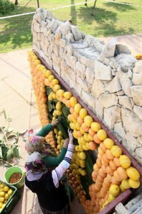 70 ton narenciye kenti süsledi