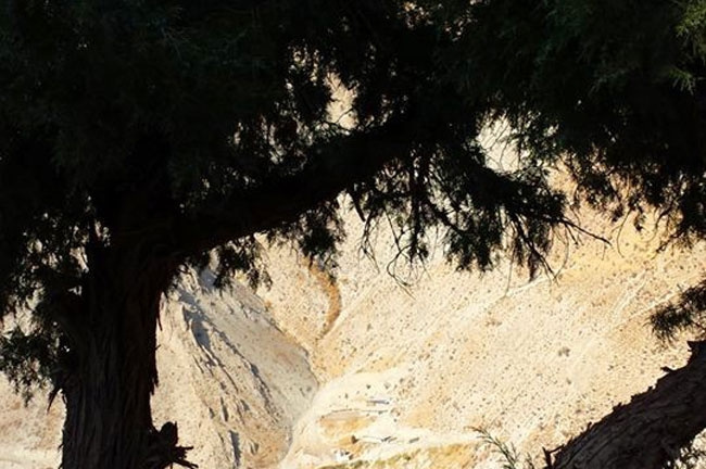 Hakkari'den sonbahar manzaraları