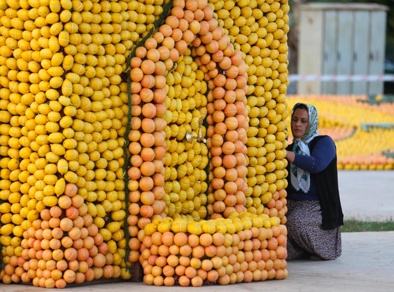 Mersin Narenciye Festivali'ne hazır