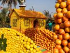 Mersin Narenciye Festivali'ne hazır