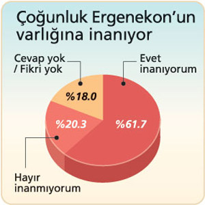 Çarpıcı Ergenekon anketi