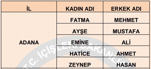 İllere göre en çok kullanılan isimler