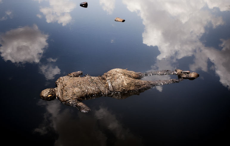 2013 yılının en çok bakılan fotoğrafları