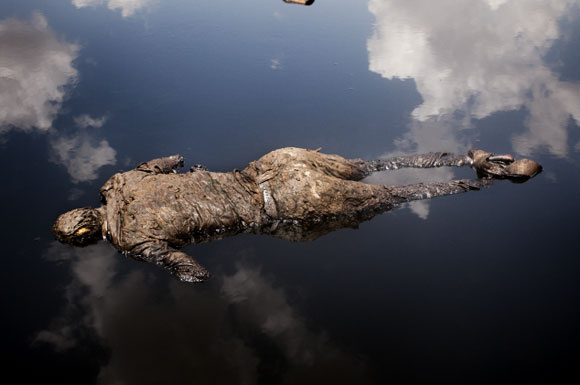 2013 yılının en çok bakılan fotoğrafları