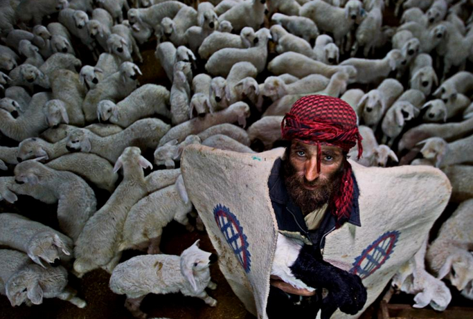 National Geographic Türkiye’nin en iyi fotoğrafları