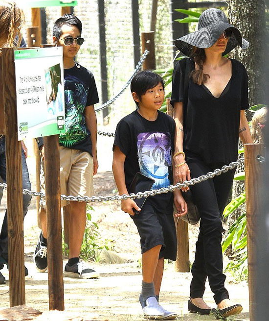 Brad Pitt ve Angelina Jolie'den aile saadeti!