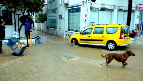 Bodrum'u sağanak vurdu