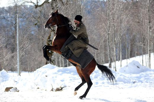 Kurt Seyit‘in kazancı dudak uçuklatıyor