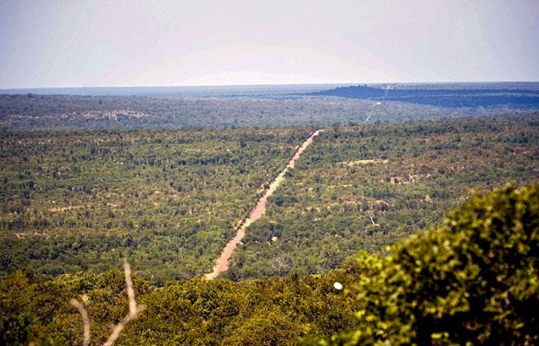 Güney Afrika'da yaşanan fil saldırısı görenleri şok etti