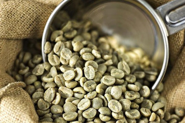 Yeşil kahvenin faydaları nelerdir?