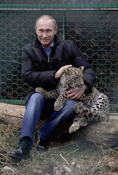 Putin kedi gibi Pers leoparı sevdi