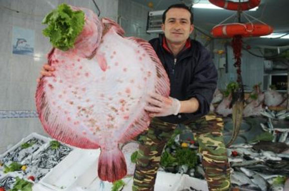 Hangi balık hangi ayda tüketilir?